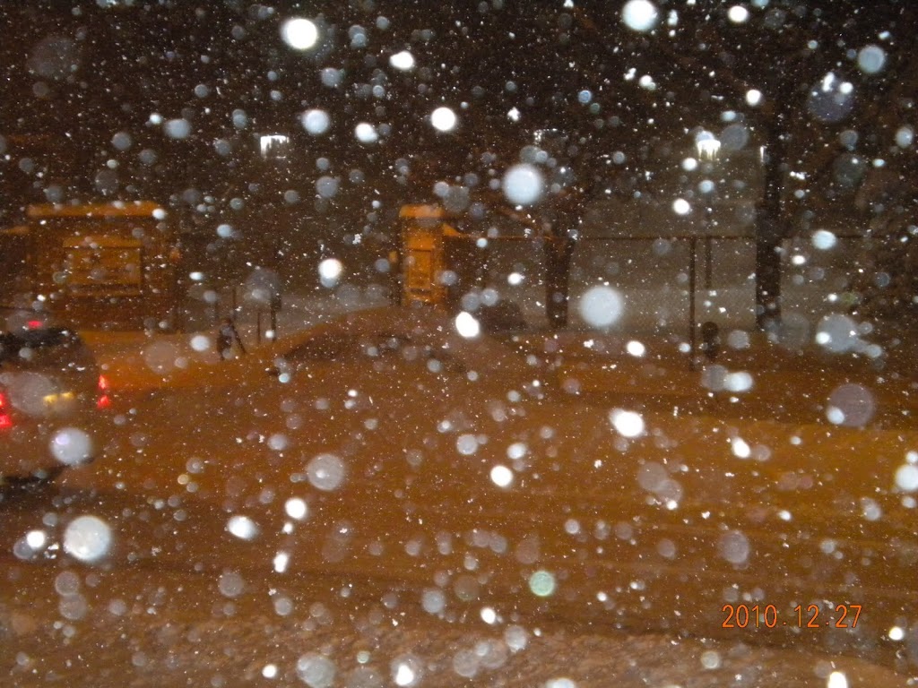 2010 Holiday Blizzard!