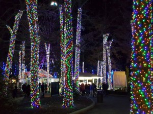 sixflagsxmas7