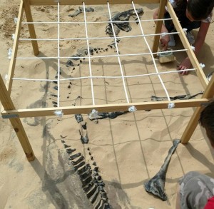 dino dig liberty science center